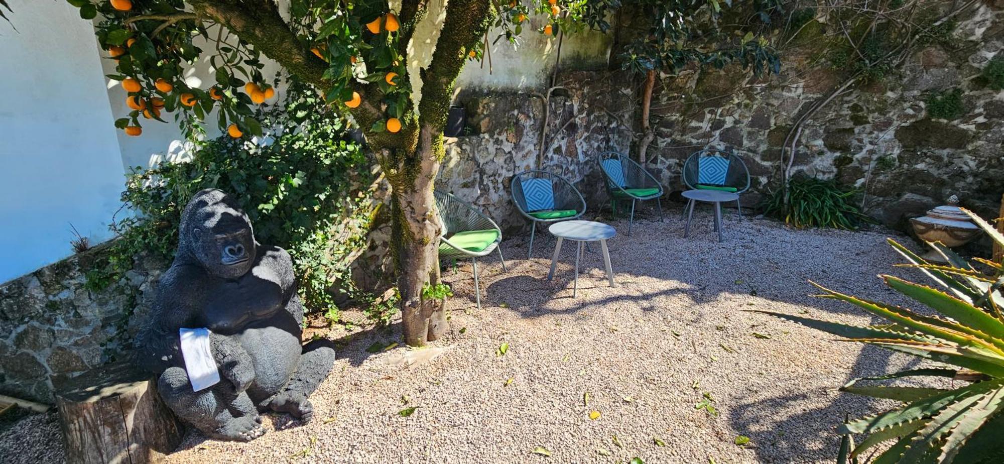 Casa Belavista Penela - Charming Guest House - Adults Only Экстерьер фото